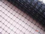 Green fenceNetting / Netting Animal Proof , Hdpe Anti Uv Square Mesh