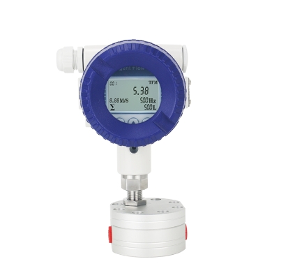 Digital Flow Meter Supporting Multiple Output Signals for Seamless Integration into Existing Industrial Control Systems