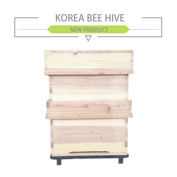 21.5kg 55*52*32cm Unassembled 10 Frame Beehive Box