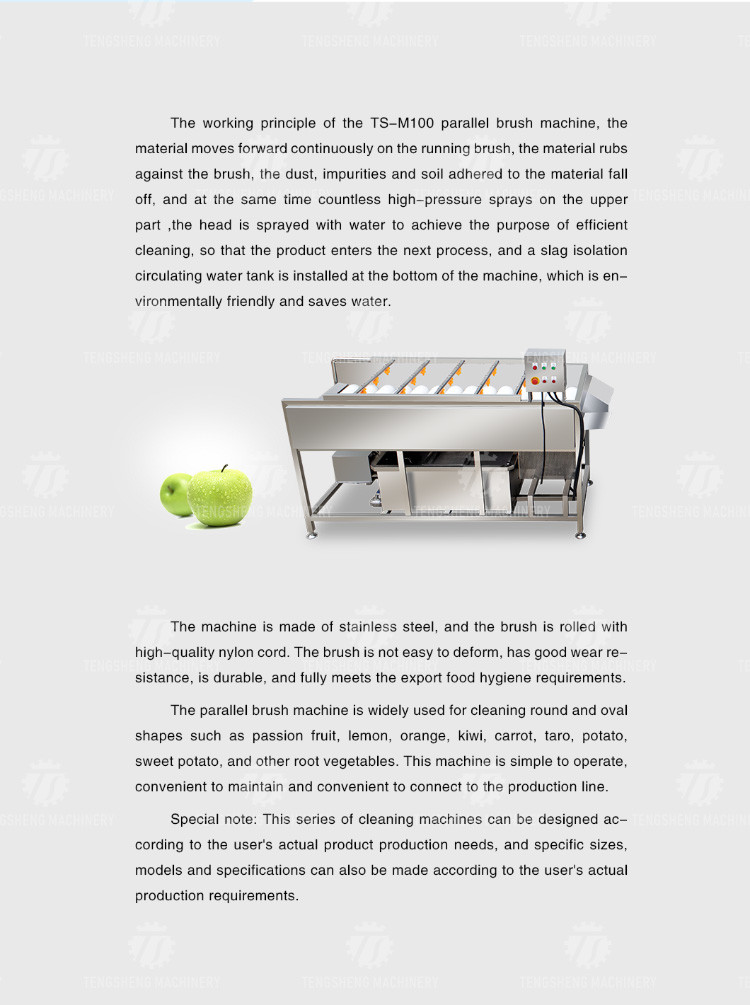 2.5KW Can be grouped line potato eggplant washing machine tomato parallel brush washing machine