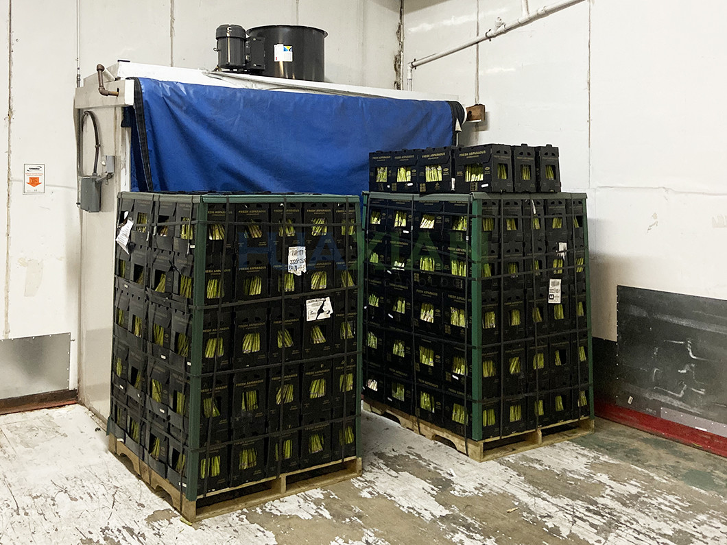 15kw Forced Air Cooler 18 Tons Capacity Precool Vegetables And Fruits