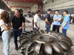 50Hz/60Hz Frequency Hydro Turbine Runner with Customized Blade Length