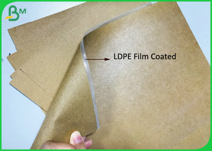 Grease resistant 15G LDPE coated Brown Paper 300Gsm Craft Board Food Paper Tray