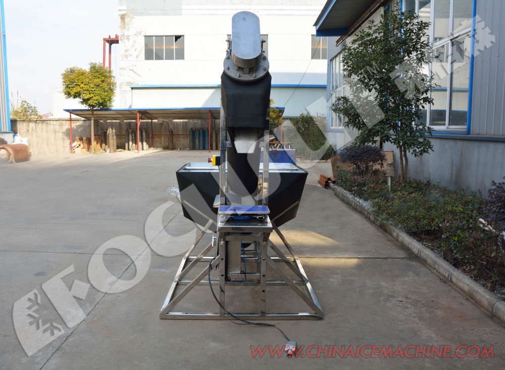 Video Outgoing-Inspection Provided Semi-Automatic Ice Packing Machine with Best