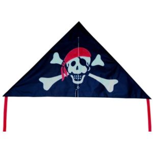 Pirate Pattern Delta Wing Kite Convenient Carry Easy Control Durable