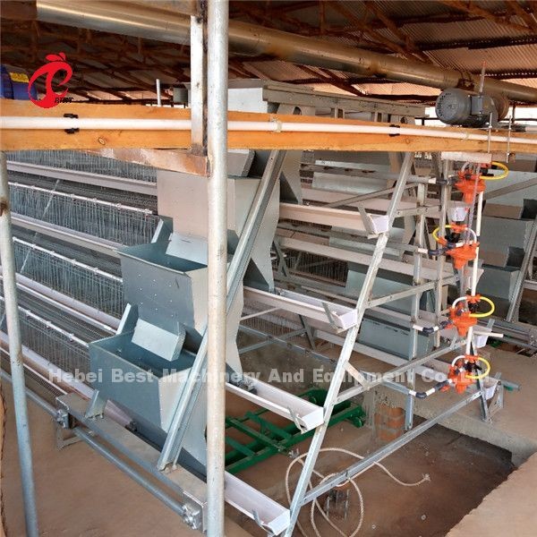 Quality Automatic Drinker Feeder Poultry Chicken Cages 10000 Egg Layer Ada for sale