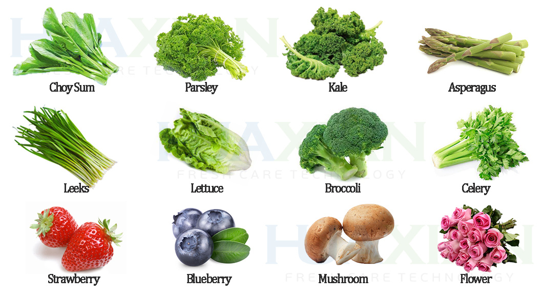 New Vacuum Agriculture Cooling Machine for Vegetable/Fruit/Mushroom/Flower Farm