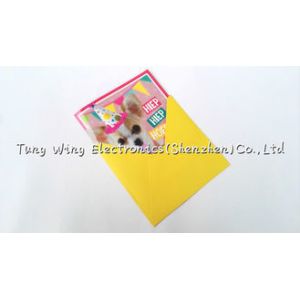 Battery Powered Sound Module For Cards With Square Shape