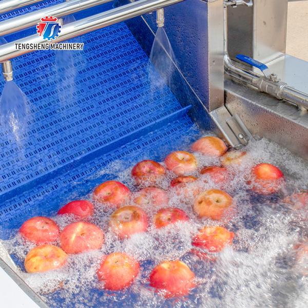 Fruit bubble washing and sorting production line Fruit Vegetable FOOD processing production Machine