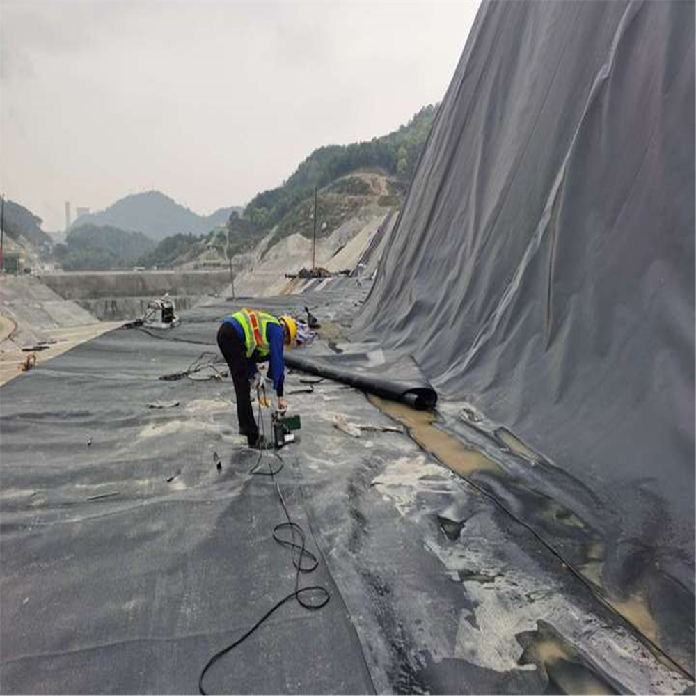 Industrial Design Style SSS HDPE Geomembrane for Fish Farms and Landfill Applications