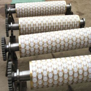 Customize 380V 50HZ Cookie Biscuit Making Machine 2 Workers