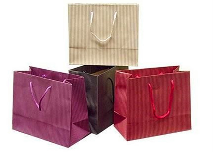 Custom Coated Foldable Paper Bag for Luxury Gift Packaging Solution Paper Shopping Bags