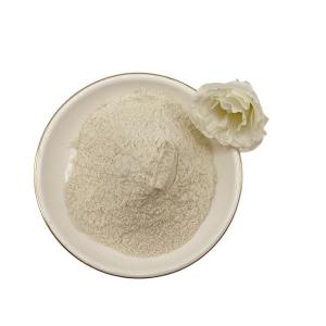 Quality Natural ChitosanPro from Crab Shell for Feed Additive for sale