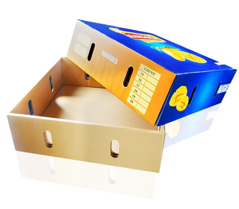 Better Price Quality Good Custom Printing Corrugated Fruit Mango Packing Shipping Boxes
