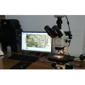 Trinocular Wide Field Eyepiece Reflected and Transmitted Metallurgical