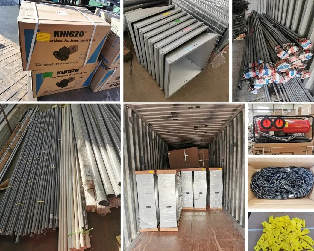 Q235B Q355B Floor Area Multi Span Steel Buildings Factory Expansion Space