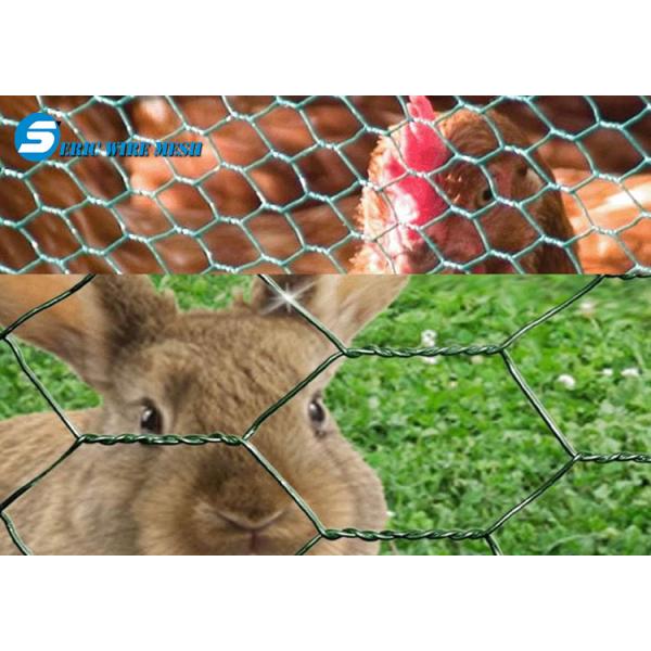 High Quality Pvc Coated Hexagonal Wire Mesh 1/2 Inch Pvc Coated Hexagonal Wire Mesh Galvanized Hexagonal Wire Mesh