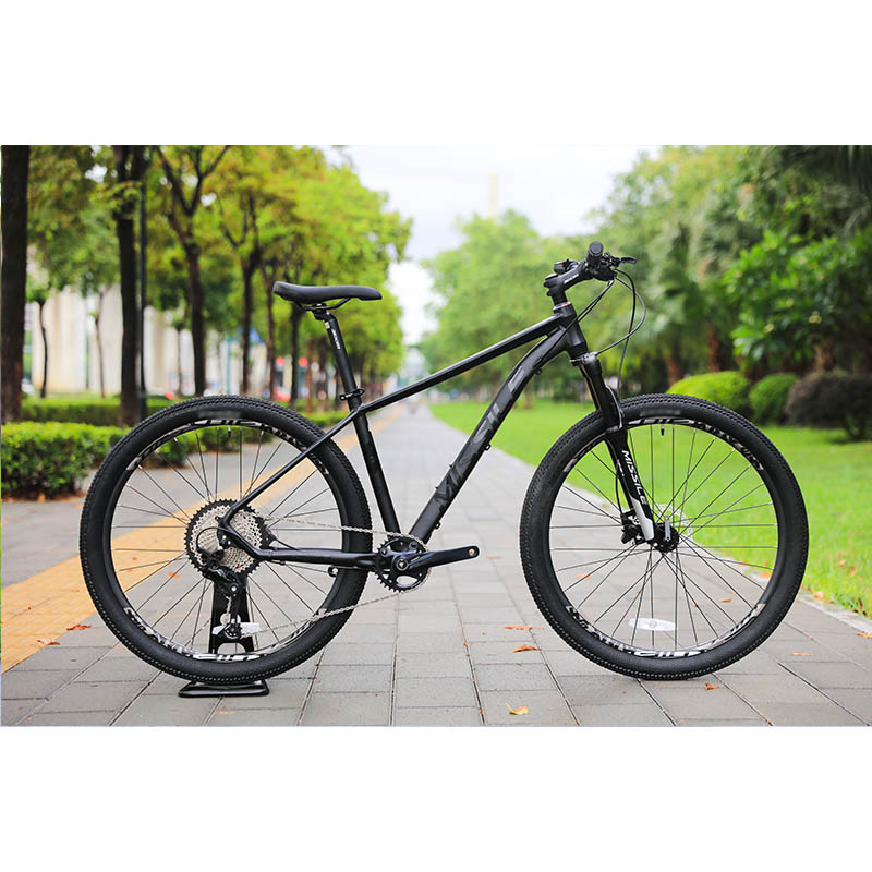 Durable 11speed Oil Brake Mountain Bike with High Cost Performance and Ordinary Pedal