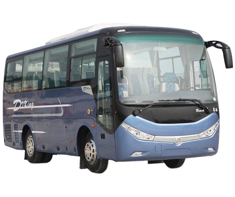10-19 Seat LHD/RHD Drive Wheel Diesel Passenger Bus with Customer's Requirement