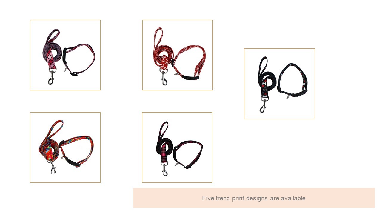 Bright Dog Lead And Collar Set Adjustable 30-48cm Buckledown Dog Collars