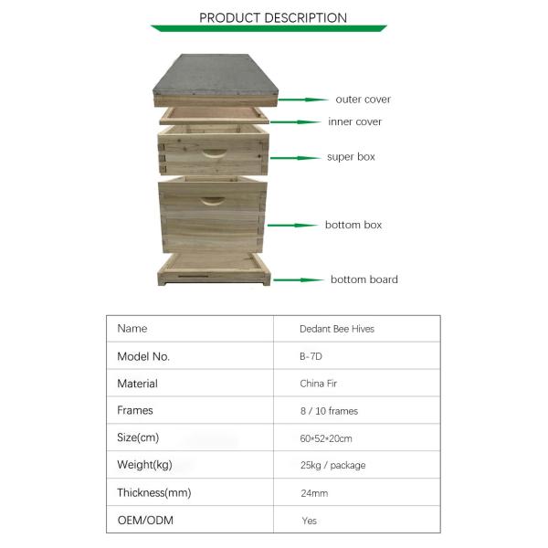 24mm Thickness 10 Frames Dadant Bee Box China Fir Bee Hive