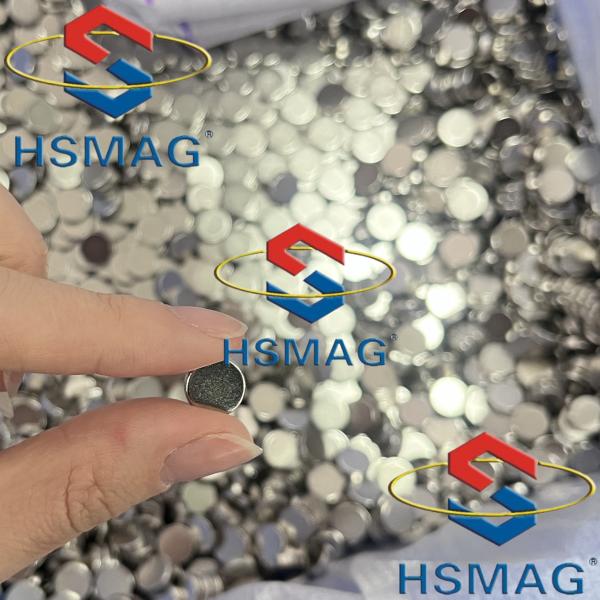 Powerful Magnetic Pumps SmCo Disc Magnet Sm2Co17 Magnet High Temperature