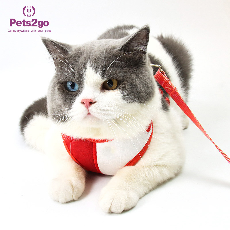 Quality Pets2Go Mesh Lining 100g Retractable Pet Leash for sale