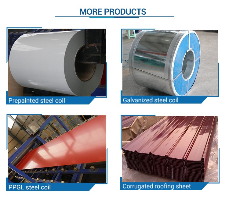Color Coated Steel Coil,PPGI PPGL coil,RAL prepainted Galvanized Steel Coil Building Materials