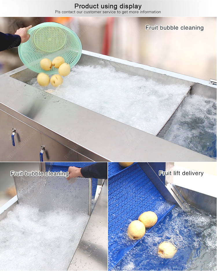 Washing and juicing production line Fruit Orange Leaves Vegetables sward beans soybeans processing production Machine