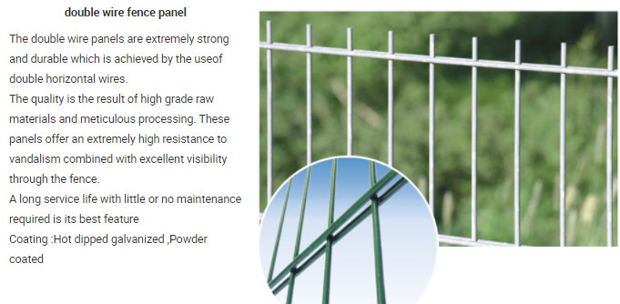 Green Coated Galvanized 868 Twin Wire Mesh Fencing For Courtyard non rusting
