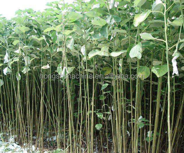 Farmer Hemp Jute Peeling Machine , Ramie Sisal Fiber Extraction Machine