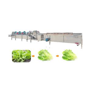 carrots 10.1kw 1500kg/h SS304 Vegetable Dryer Machine