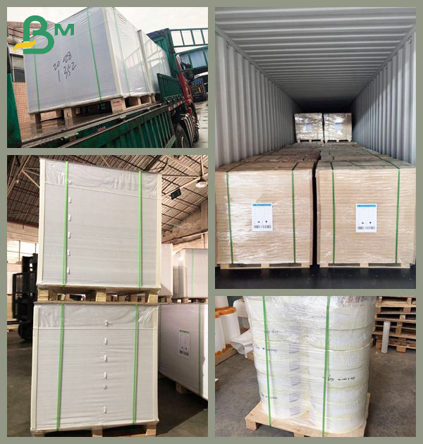 Resin coated synthetic paper 200um printable surface for pacakging and labelling
