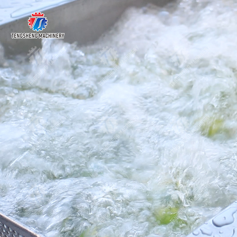 Citrus cleaning production line Fruit Orange Wash Washer Washing Cleaning Dryer
