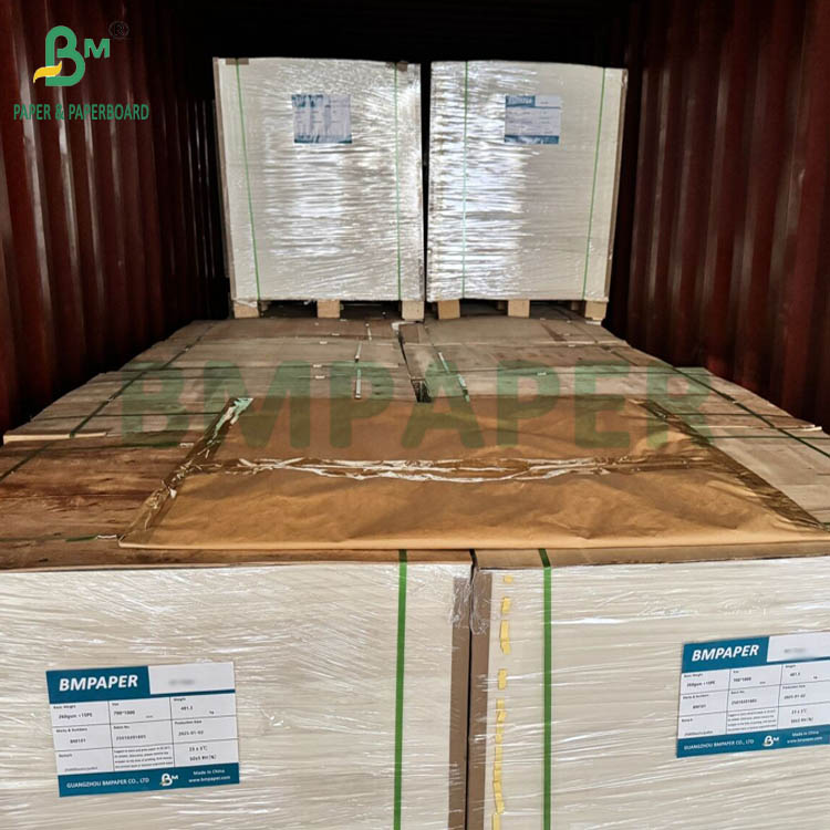 250gsm 275gsm + 15g PE Coated One Side Food Grade Paperboard For Frozen Food Packaging 740x1060mm 