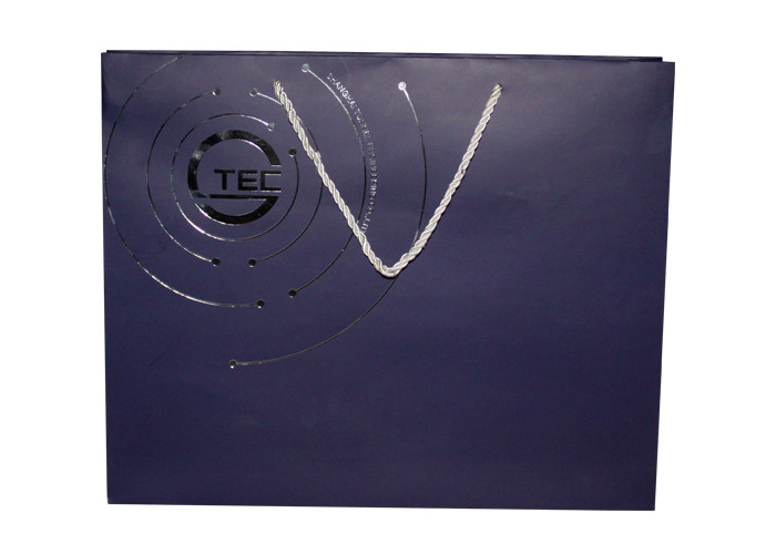 Hot Stamping Customized Paper Bags With Handles OEM UV Coating