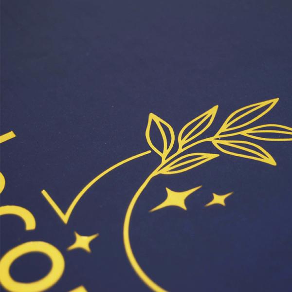 Foldable Full Color Printed Boxes Corrugated Paper Recycled Mailer Boxes