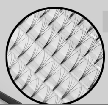 Pre Made Fans Silk Eyelash Extensions 5D 6D 7D 8D Customized Thickness