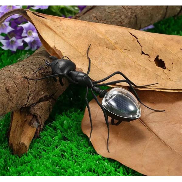 Manufacturer Direct Supply Moving Solar Toys Powered Plastic Insect Animal Novelty & Gag Toys Solar Panel Toy