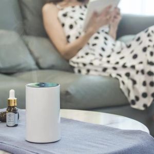 HOMEFISH Liquid Waterless Diffuser Humidifier Nebulizer Aromatherapy Car Scent