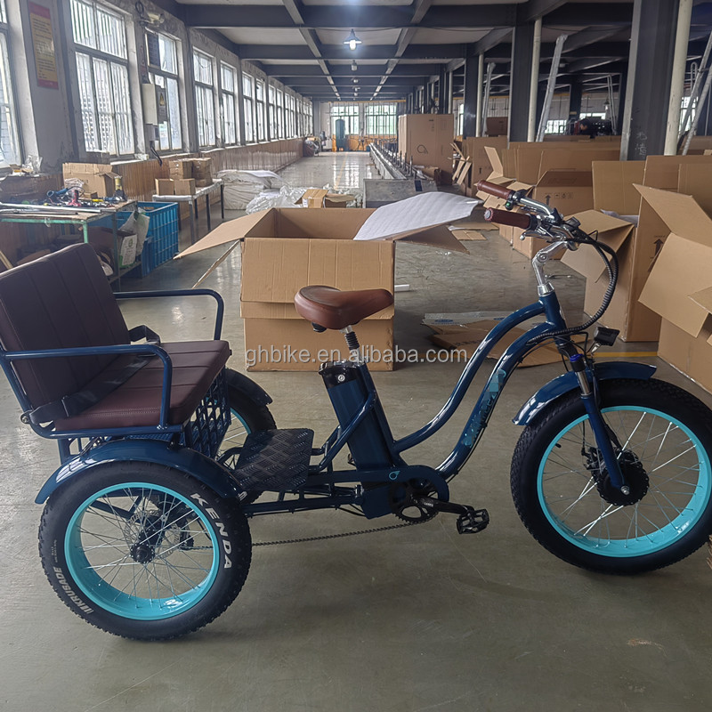 USA 24"20" Motorized Bafang 8fun 750W 48V 17a Adult 3 Wheels Cargo Ebike Electric Tricycle