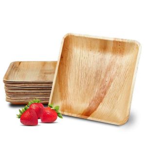 OEM Biodegradable Palm Leaf Plates With Laminated Packing