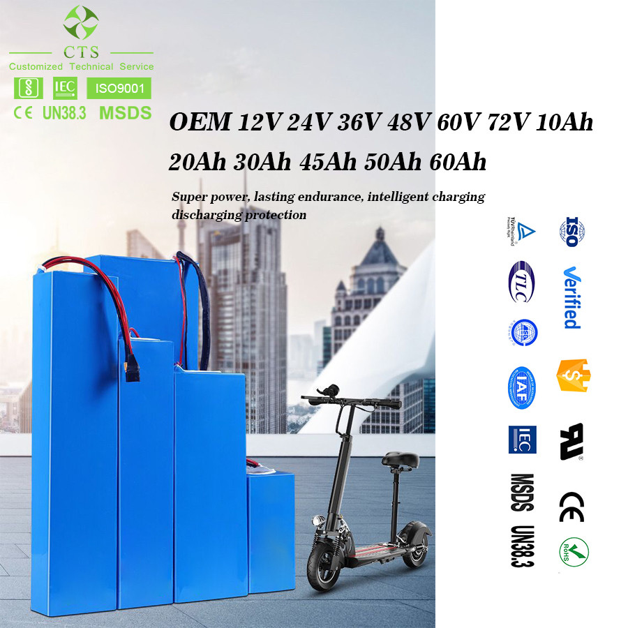Lithium Ion Battery Pack OEM 12V 24V 36V 48V 60V LiFePO4 Battery For Electric