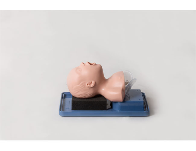 Quality Head Anatomical Structure PVC Pediatric Simulation Manikin for sale