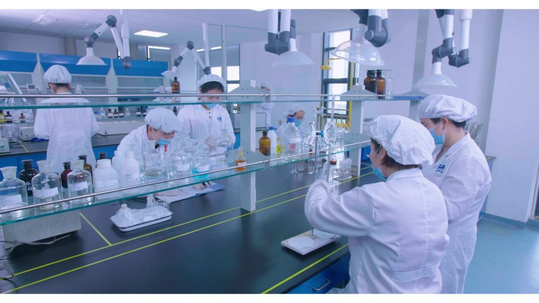 China&prime; S Competitive Medicinal Grade Anhydrous Dibasic Calcium Phosphate