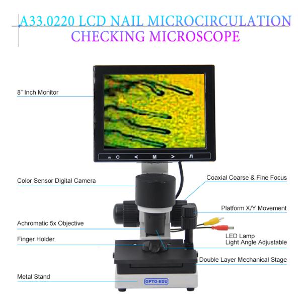 A33.0220 Biological Microscope With 8 Inch LCD 400x LED Light Angle Adjust