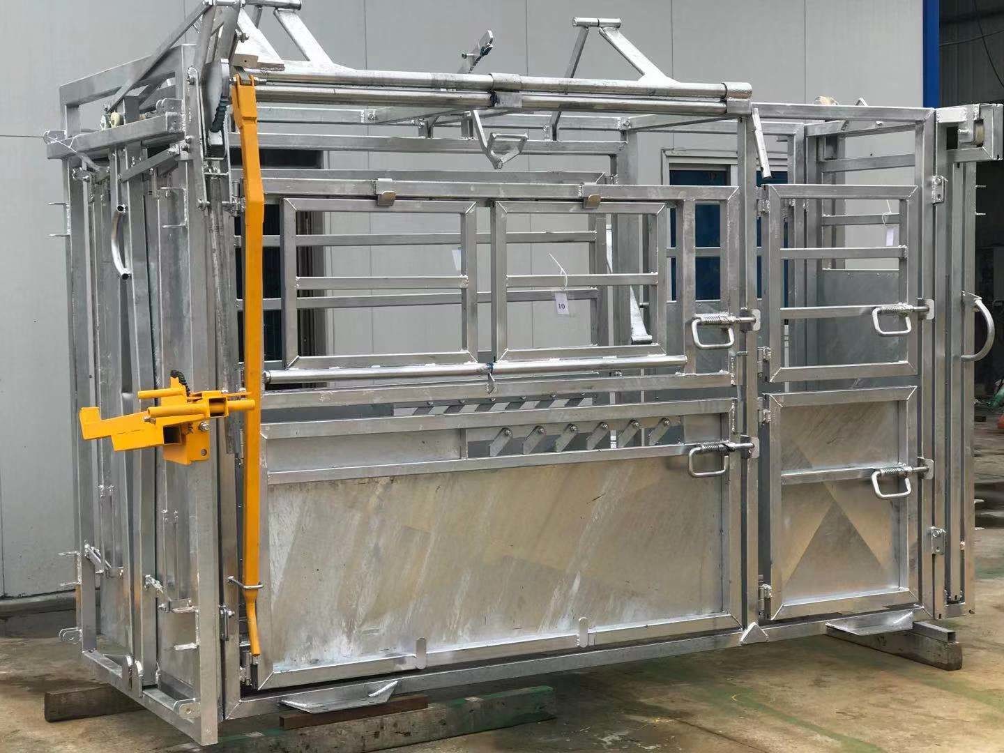 Standard Vet Cattle Crush with Y section Australia Standard Complied