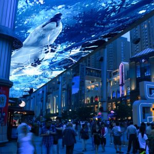 10000 Lumens 3D Interactive Projection Sky Screen Immersive Dinner