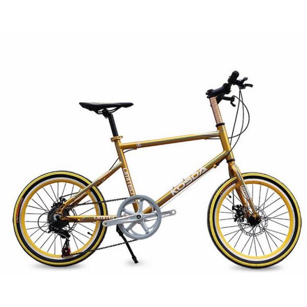 Small Aluminum 20 Inch Wheel 7 Speed Road Bike