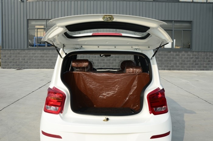 Long Range Four Passengers Small Electric Cars For Adults CE Approval